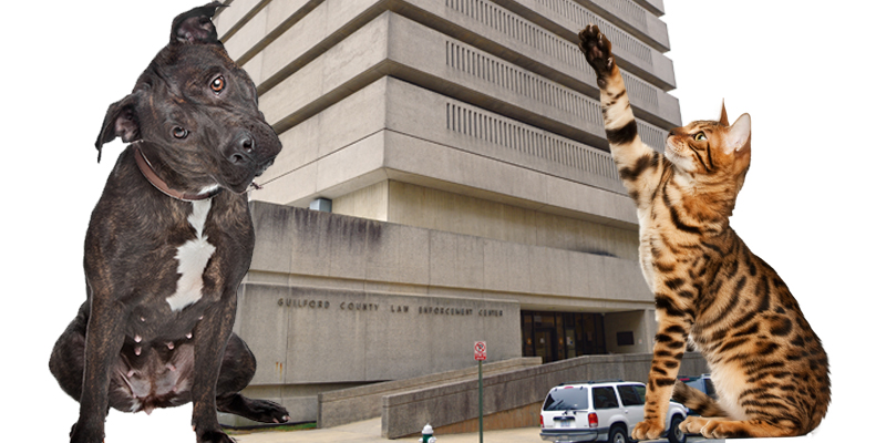 Sheriff, Dogs and Cats Seeing Signs of New Guilford County Digs