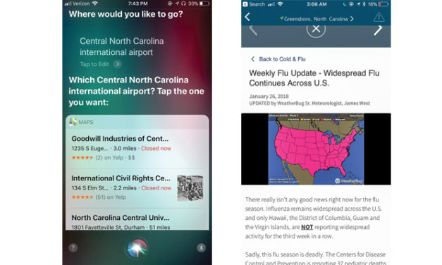 Goodwill May Add International Flights