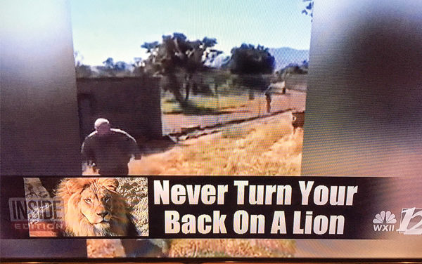 Yost Is Not Lyin’ About His  Lion Advice