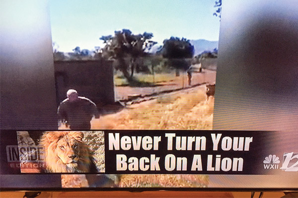 Yost Is Not Lyin’ About His  Lion Advice