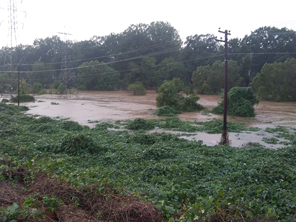 Hurricane Michael Saved Some Punch for Greensboro