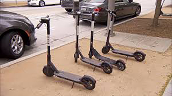 Bird Scooters Are Back