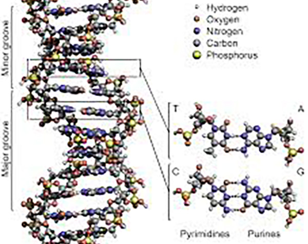 Guilford County’s Proposed DNA Lab Losing Regional Support