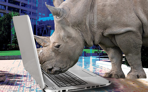 Rhino Moving to the Web