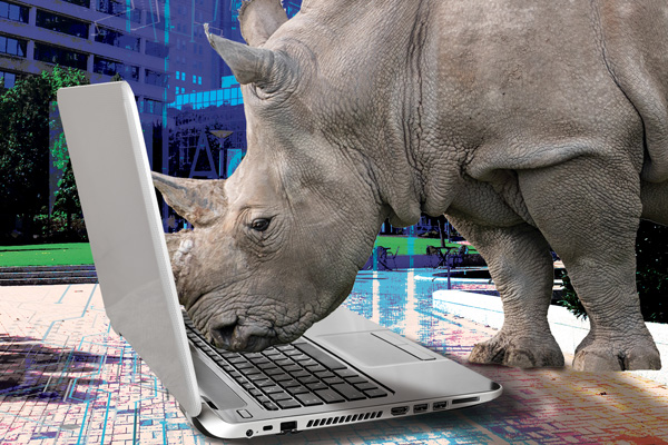 Rhino Moving to the Web