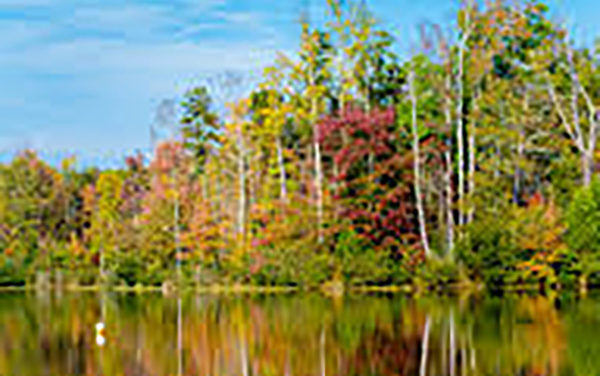 Belews Lake Park May Benefit Guilford County At No Cost