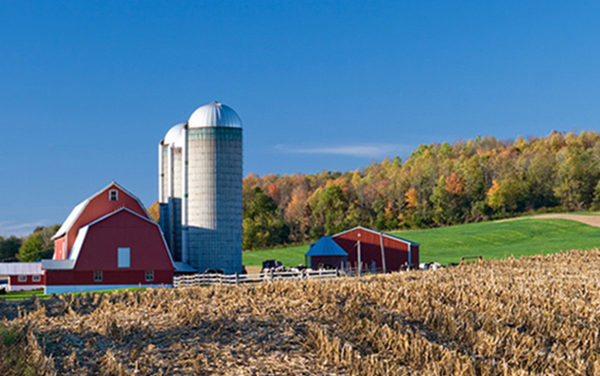 Farmland Evaporating In Guilford County
