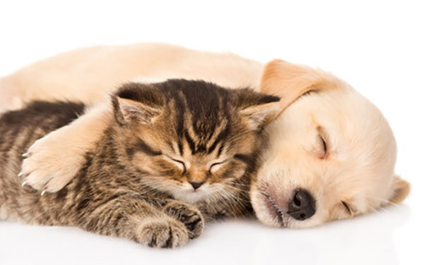 Susie’s Fund Founder Supports New Fund