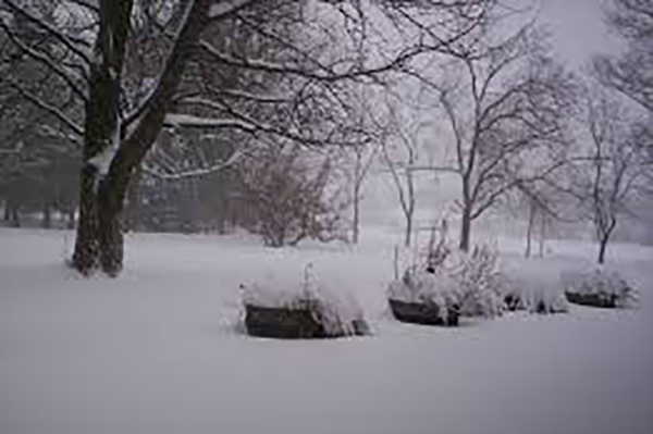 County Snow Prep Leaves Out Buying Milk And Bread