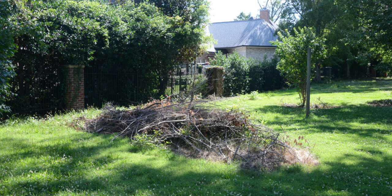 Ticketed Brush Pile Deemed Danger To Morals