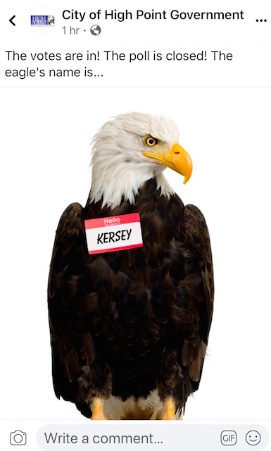 High-flying Affable Avian Gets A Name From High Point