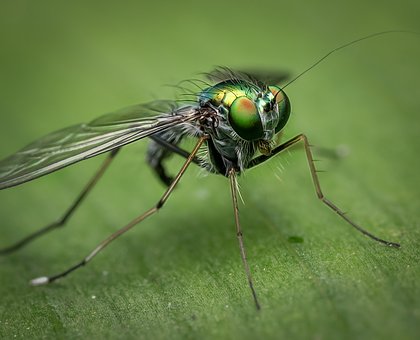 Greensboro Science Center Launches ecoEXPLORE