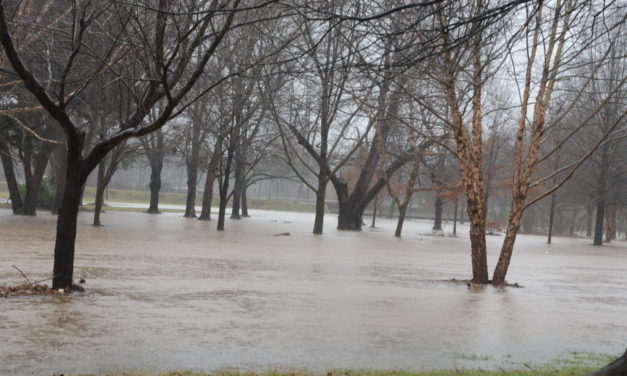 City Holding Meeting On North Buffalo Creek Flooding Issues