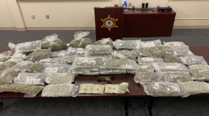 Big Marijuana Bust in Northwest Greensboro