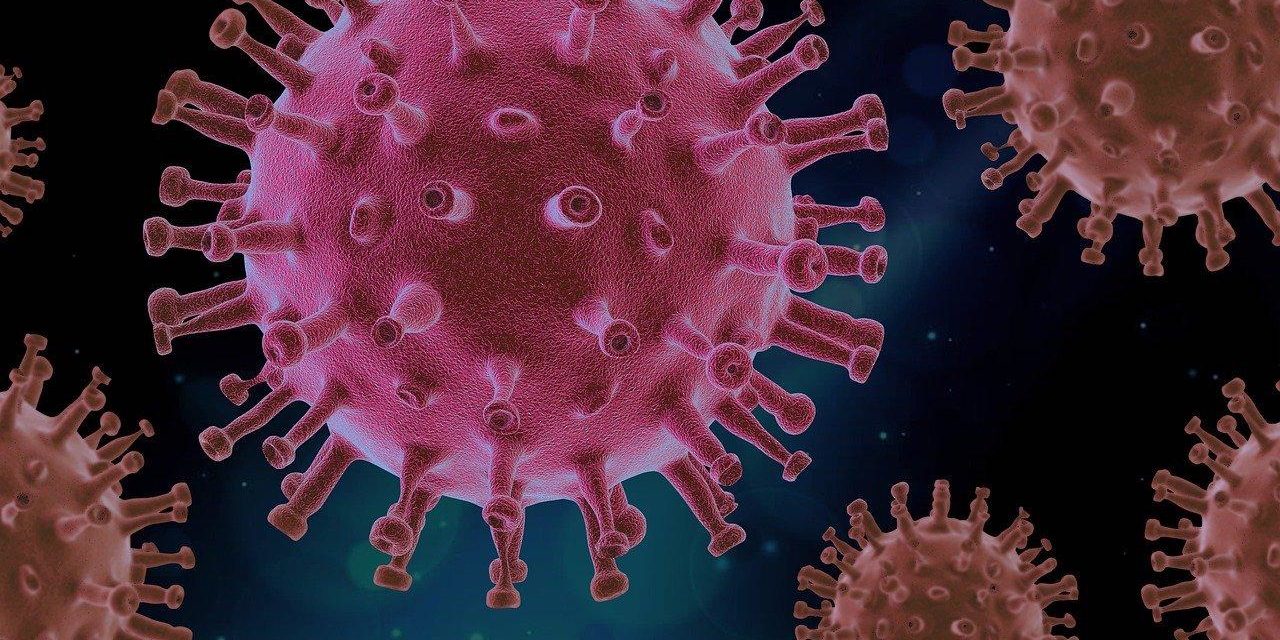 Positive Virus Tests Hit New Single-Day High In NC