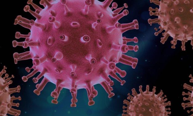 Positive Virus Tests Hit New Single-Day High In NC