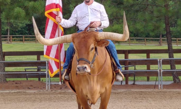 Commissioner’s Foot Falls Victim To Bull In Campaign Photoshoot