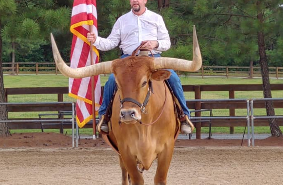 Commissioner’s Foot Falls Victim To Bull In Campaign Photoshoot