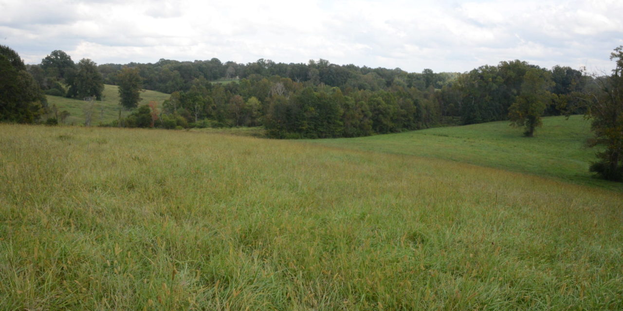 City Manager Says No Tax Dollars For Proposed Water Extension