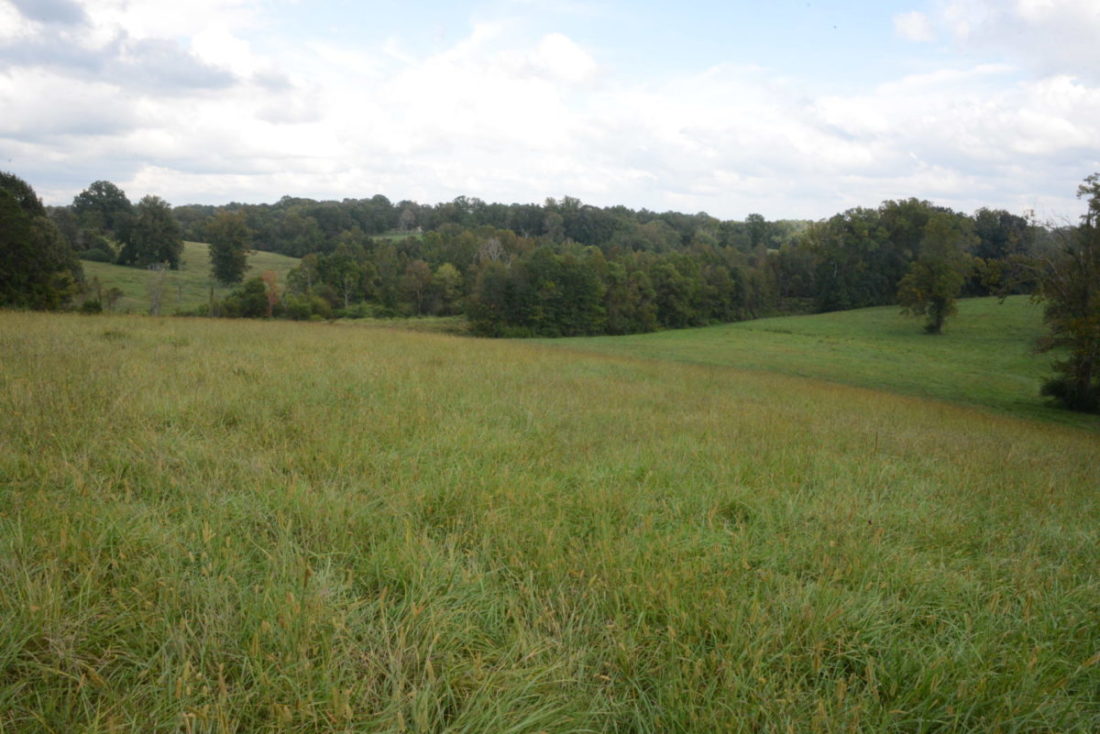 Greensboro Water And Sewer In Summerfield A Bold Plan The Rhino