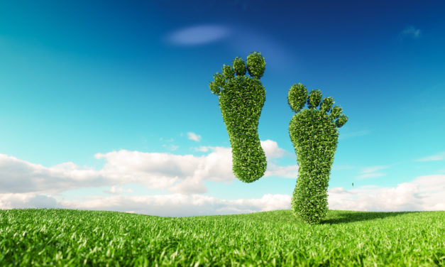 Virtual Public Listening Session On Reducing Carbon Footprint