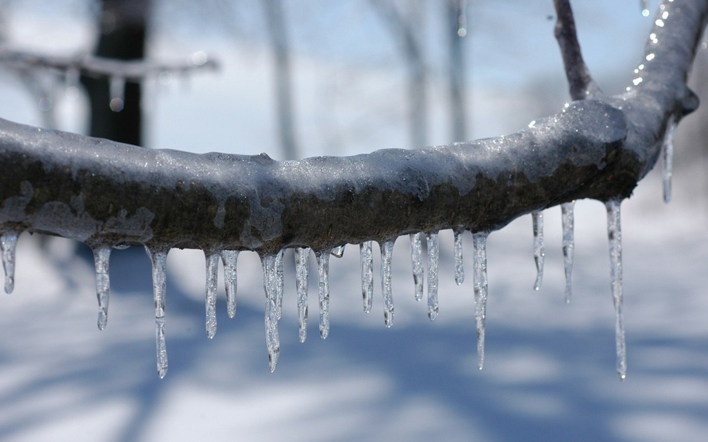 Storm Puts County In State of Emergency: Vaccinations On Hold