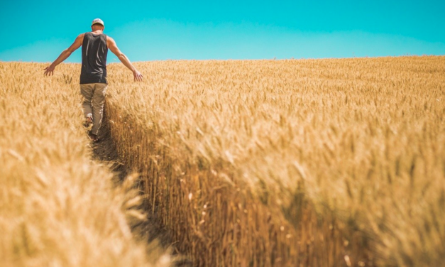 Four More Tracts Of Guilford Land Committed To Staying Farmland