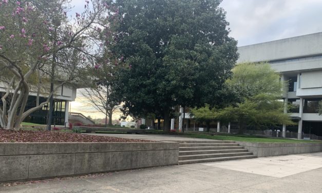 Downtown Governmental Plaza Needs Multi-Million Dollar Fixes