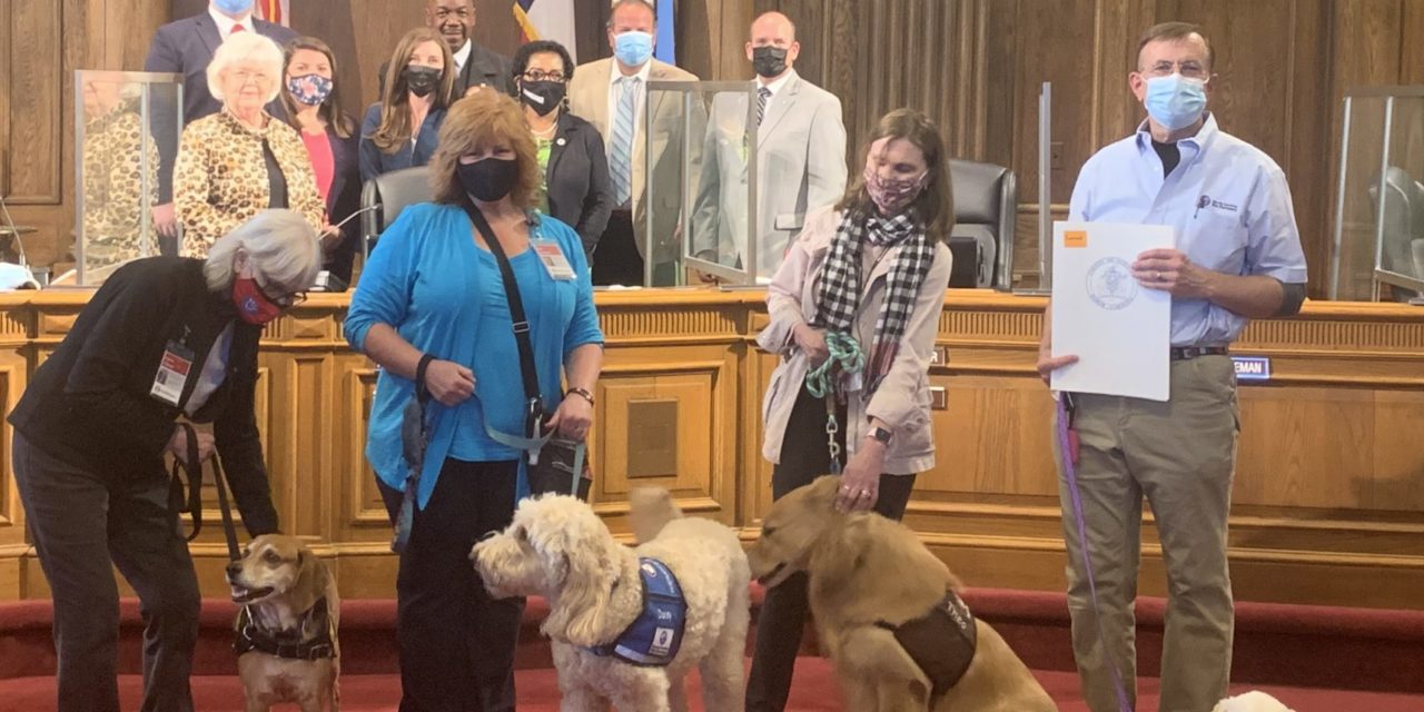 Therapy Dogs Bring Joy And Calm To Commissioners Meeting