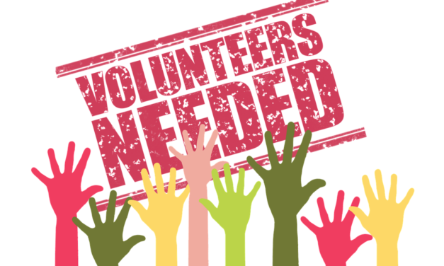 No Excuses: You Need To Volunteer in April