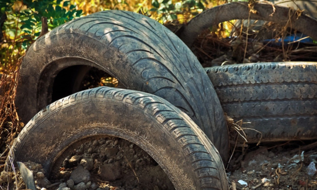 Pleasant Garden To Host Rare “All-In-One” Recycling, Shredding, Food Drive Event Saturday