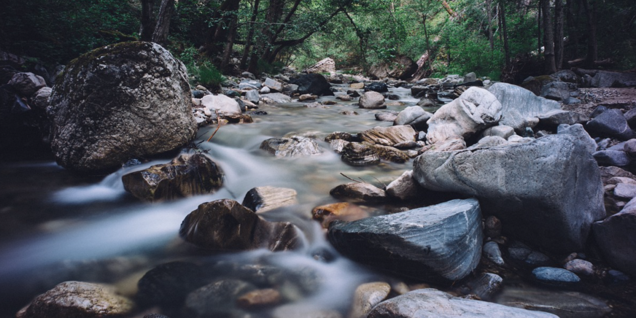 Third Annual Guilford County Creek Week Is Here