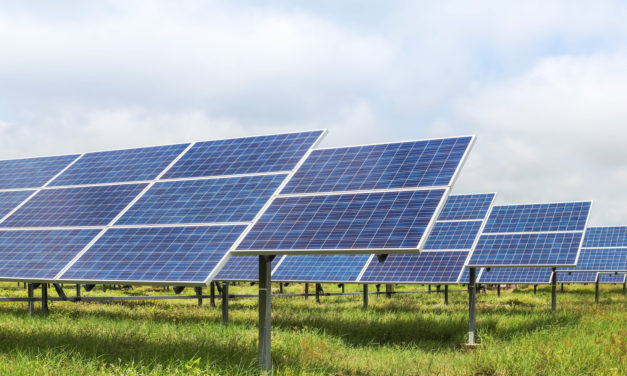 City Council Passes Resolution Opposing Solar Farm
