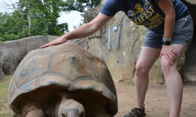 Get Behind The Scenes At Greensboro Science Center With Zoo Trek