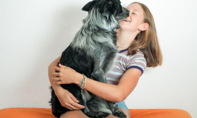 County Animal Shelter Agreements Locked In Through 2029
