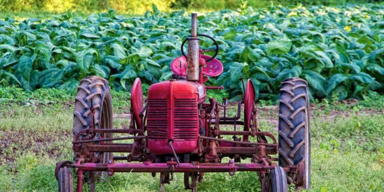 Guilford County Preserving Farmland A Little At A Time