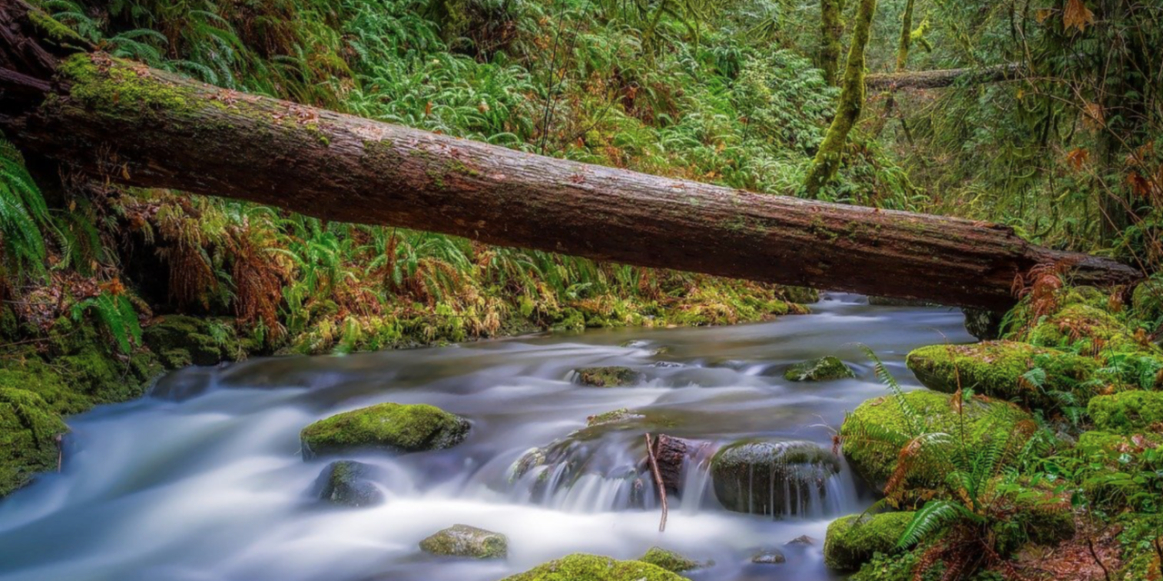 Soil And Water Conservation Event Lovers Have Some Choices