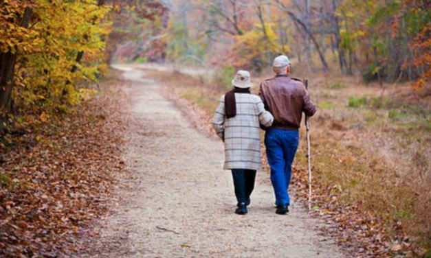 Family Justice Center Seeks Local Heroes Protecting The Elderly