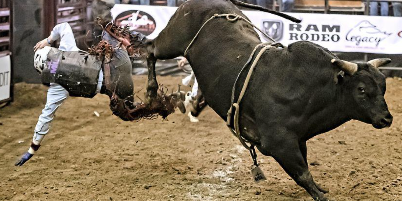 North Carolina Gets Its First-Ever Pro Bull-Riding Team