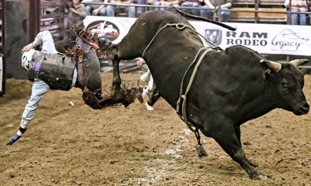 North Carolina Gets Its First-Ever Pro Bull-Riding Team