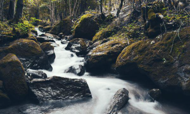 Guilford ‘Creek Week’ Returns With Fishing, Cleanup Events And A Look At What Happens To Your Trash