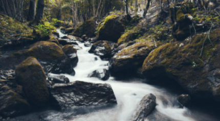 Guilford ‘Creek Week’ Returns With Fishing, Cleanup Events And A Look At What Happens To Your Trash
