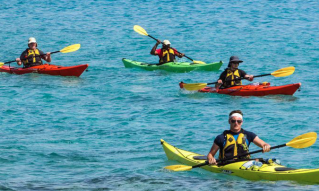 City Seeks Proposals For Parks Programming Promoting Diversity