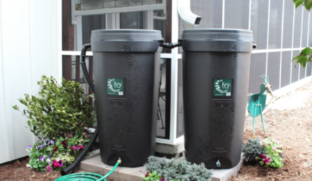 Greensboro Offering Deal On Compost Bins And Rain Barrels
