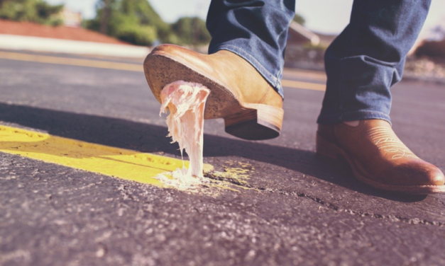 High Point Seeks Help With The Winter Wipeout Litter Cleanup