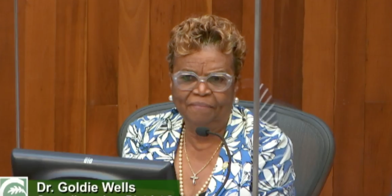 Councilmember Wells Proposes Task Force On Homeless Issues
