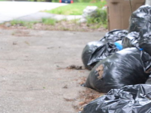 City Of Greensboro Secretly Stops Collecting Leaves In Black Bags
