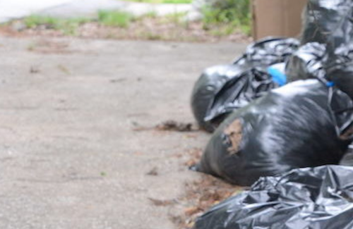 City Of Greensboro Secretly Stops Collecting Leaves In Black Bags