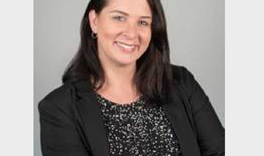 Guilford County Hires New Security Director The Rhino Times of Greensboro