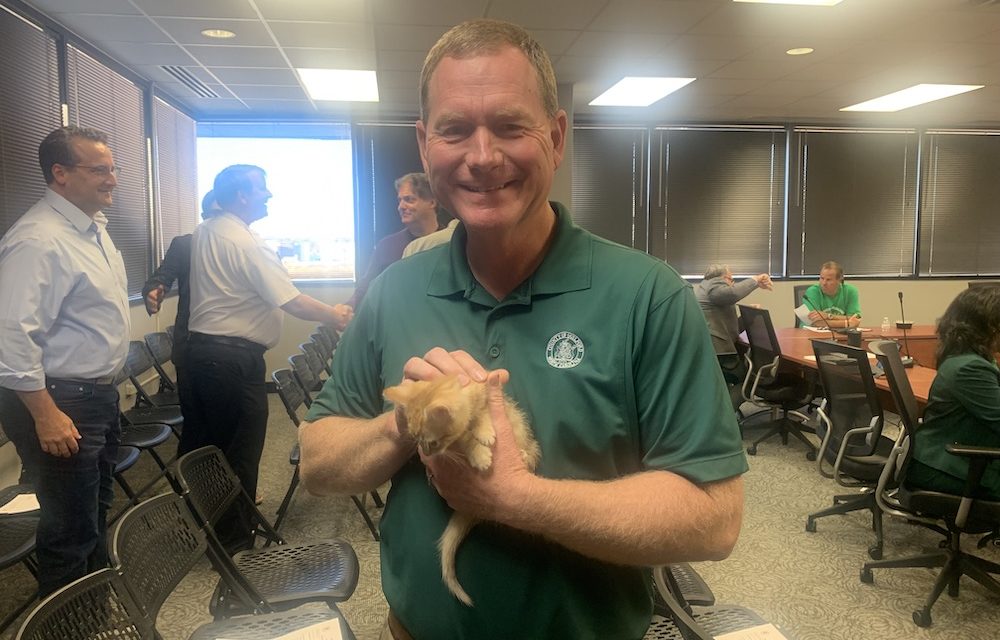 County Director Smitten By Cute Shelter Kitty Who Now Has A Forever Home